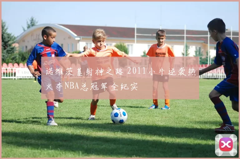 诺维茨基封神之路 2011小牛逆袭热火夺NBA总冠军全纪实