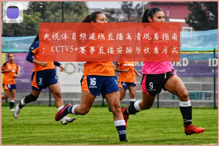 央视体育频道线直播高清观看指南：CCTV5+赛事直播安排与收看方式解析