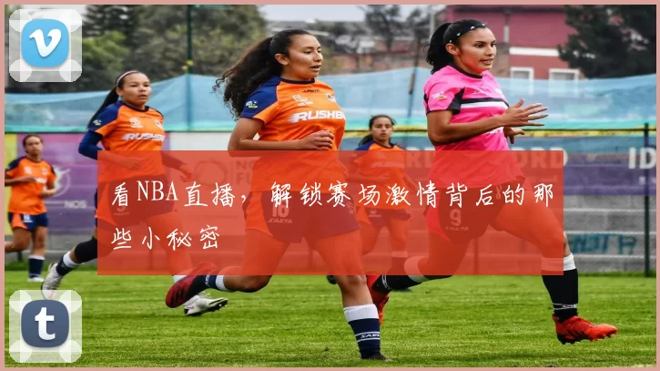 看NBA直播,解锁赛场激情背后的那些小秘密